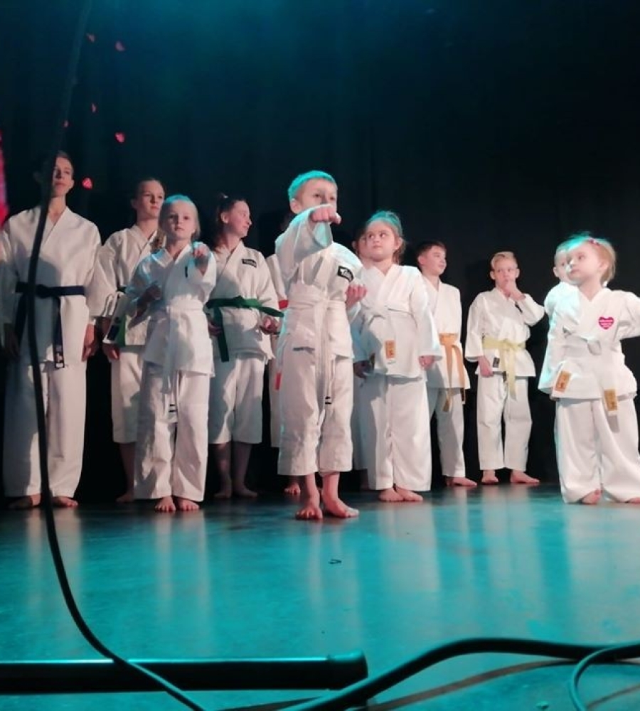 najmłodsi członkowie klubu karate ANTAI w trakcie pokazu