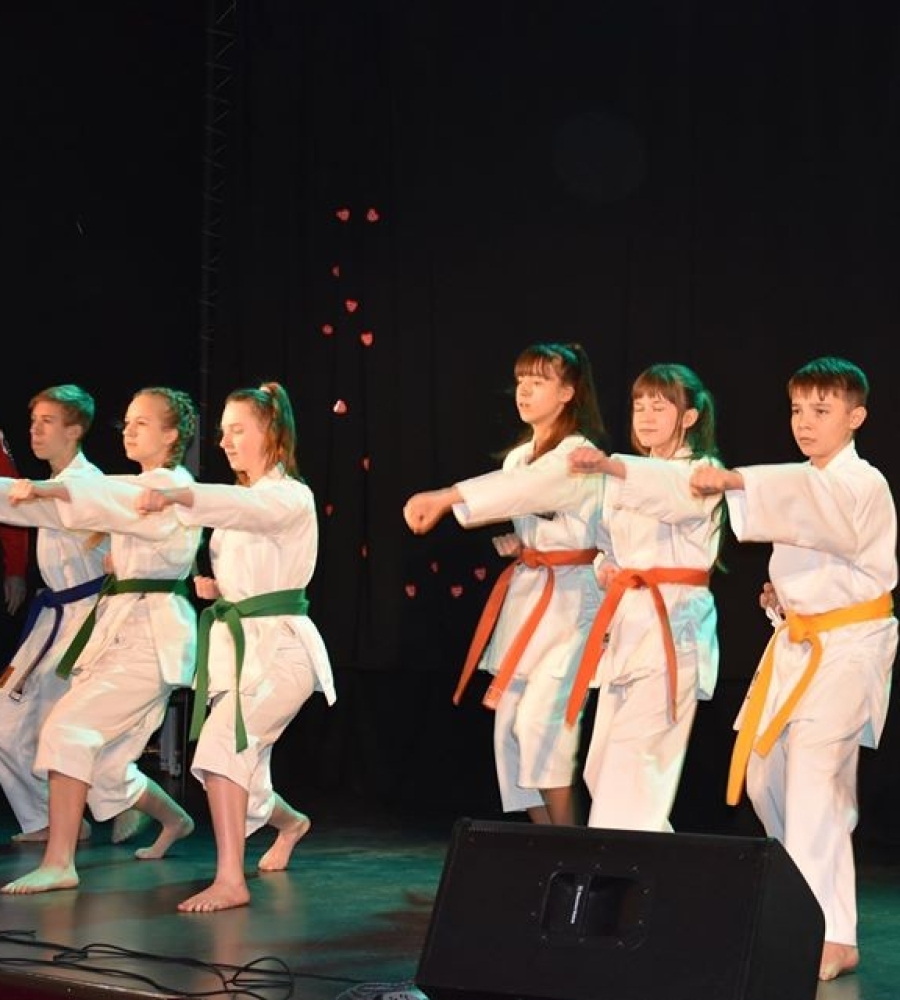 członkowie klubu karate ANTAI w pokazie kata