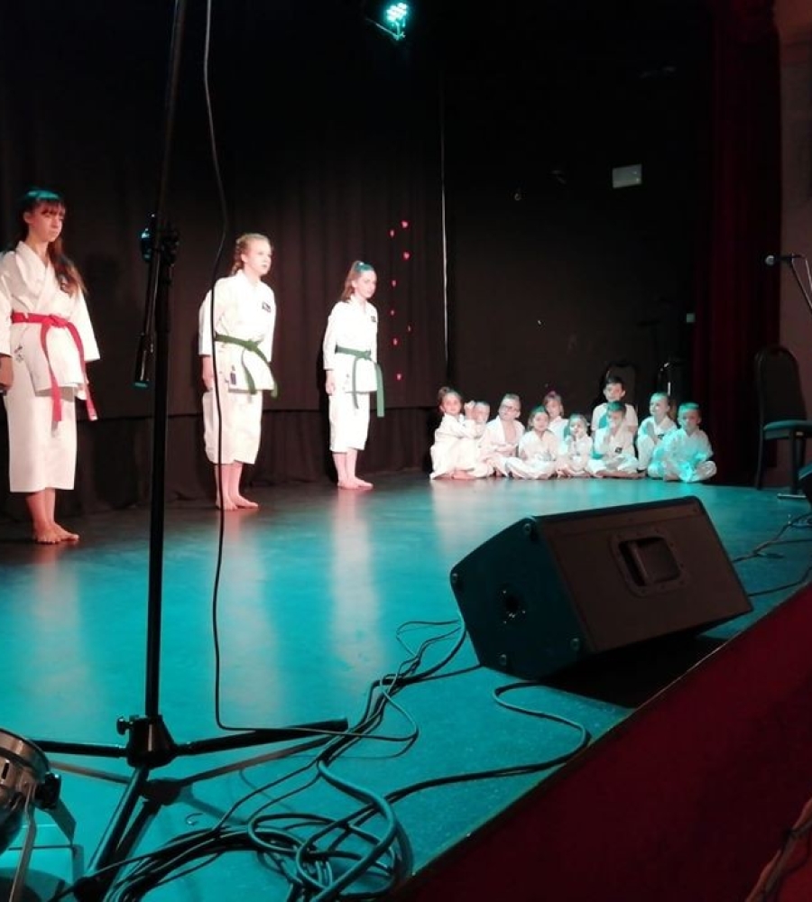 grupa karateków w trakcie pokazu
